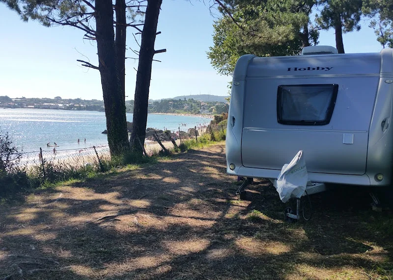 Familias disfrutando del camping