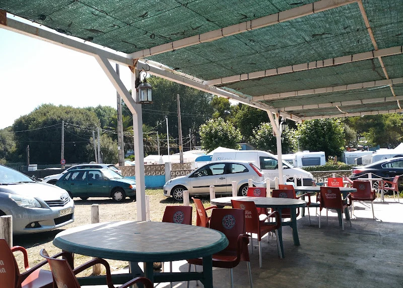 Familias disfrutando del camping