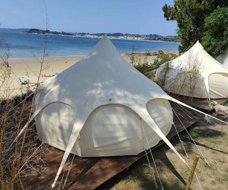 Familias disfrutando del camping