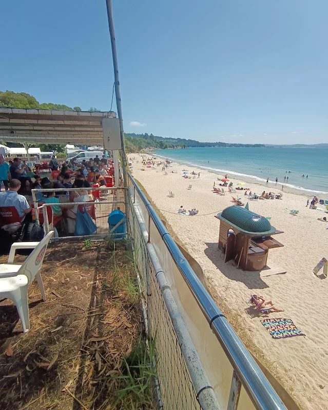Familias disfrutando del camping